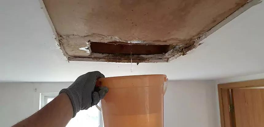 Ceiling Mold Repair Wheat Ridge