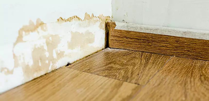 Professional Fix Water Damaged Wood Services in Wheat Ridge, CO